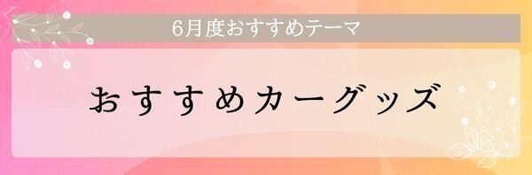 【おすすめのテーマ】おすすめカーグッズ