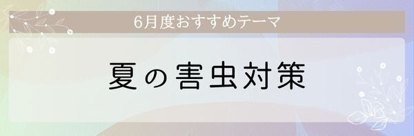 【おすすめのテーマ】うちの行楽弁当