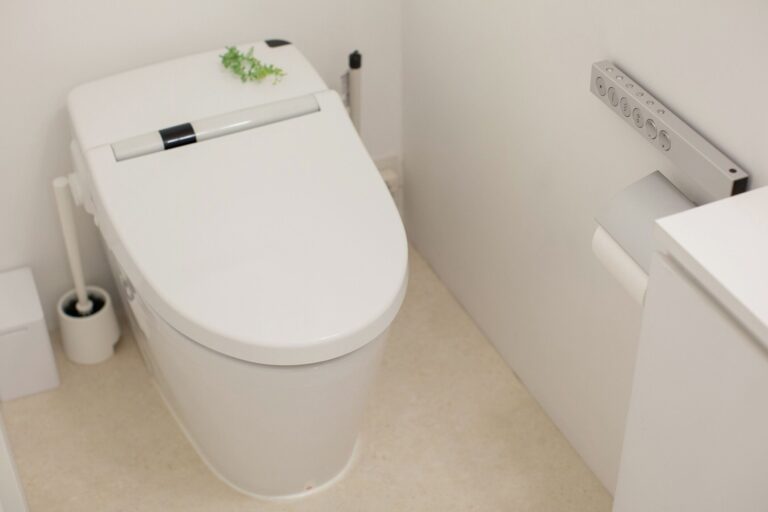 トイレ掃除を朝やるのはNG!?いつやるのが正解？トイレのお掃除風水【Dr.コパの風水解説】
