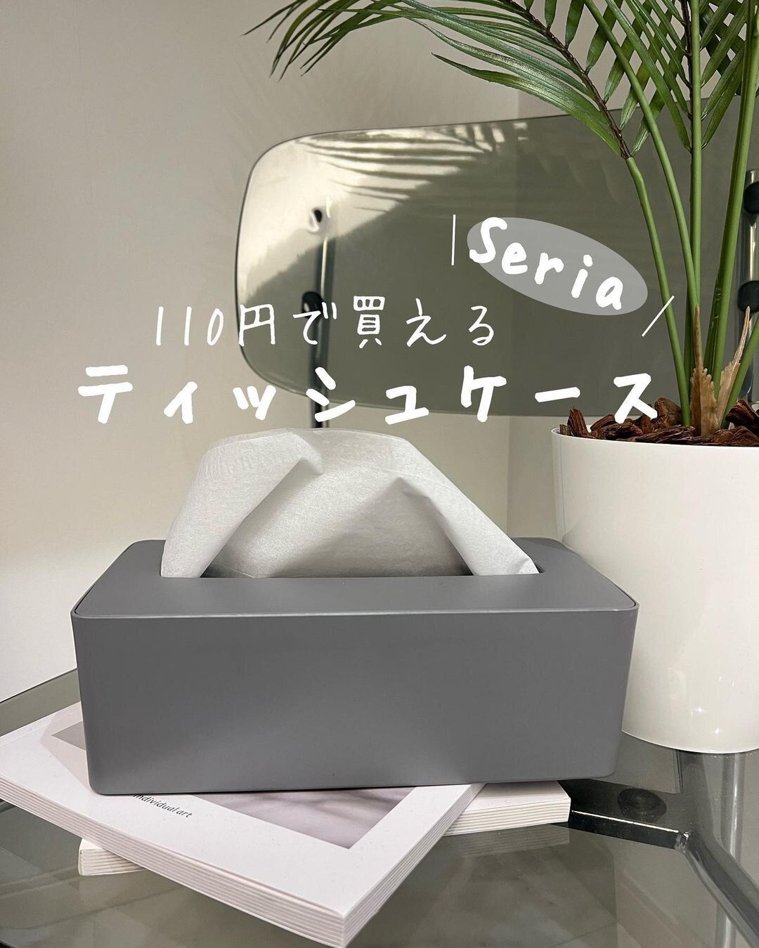 見つけたらレジに直行！【セリア】「110円で買える推し」「20枚も収納できる」超便利4選