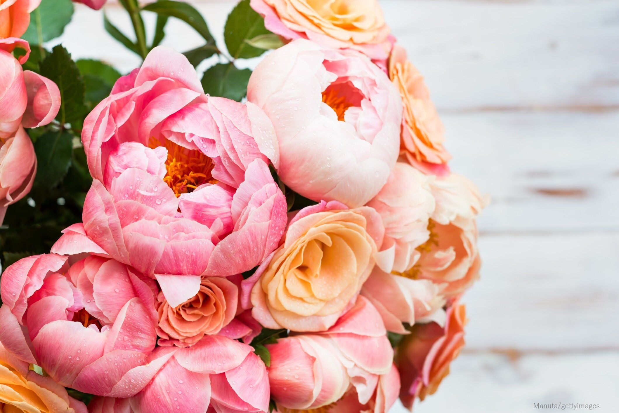 「海外思考」「平穏無事」汚部屋出身カリスマ2人の“ご自愛ワード”