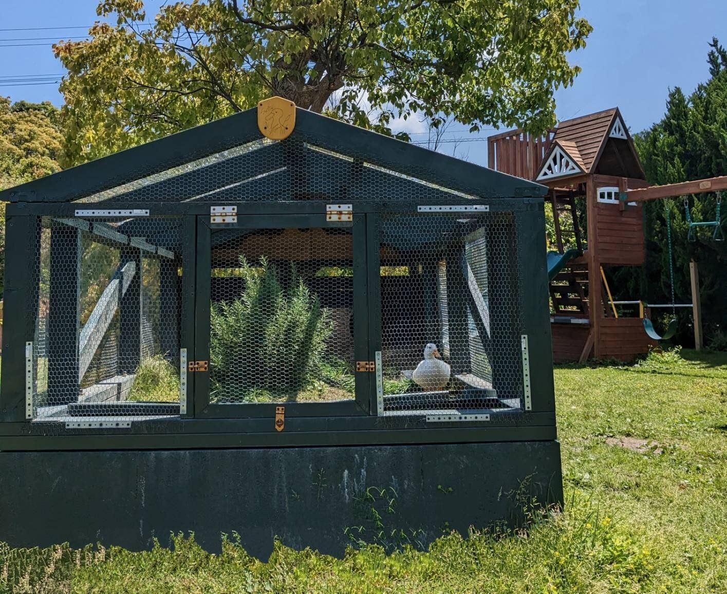 【東京→福岡】移住生活4年で感じる「田舎暮らしのデメリット」3選