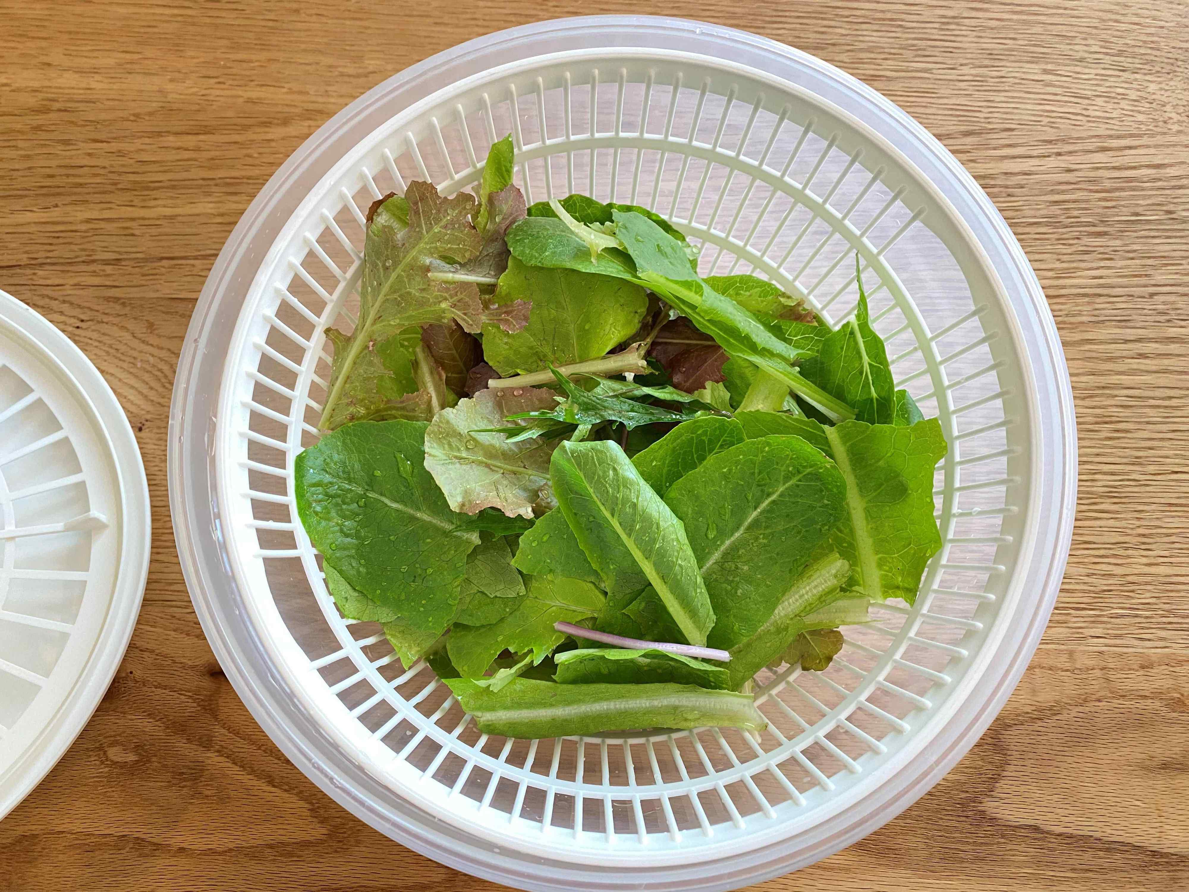 【IKEA】これがワンコイン?!サラダスピナーデビューにおすすめ！