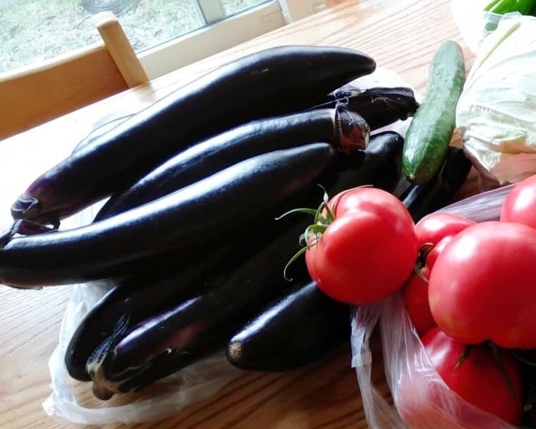 【節約ごはん】旬の食材『ナス』を使った簡単・おいしいおかず