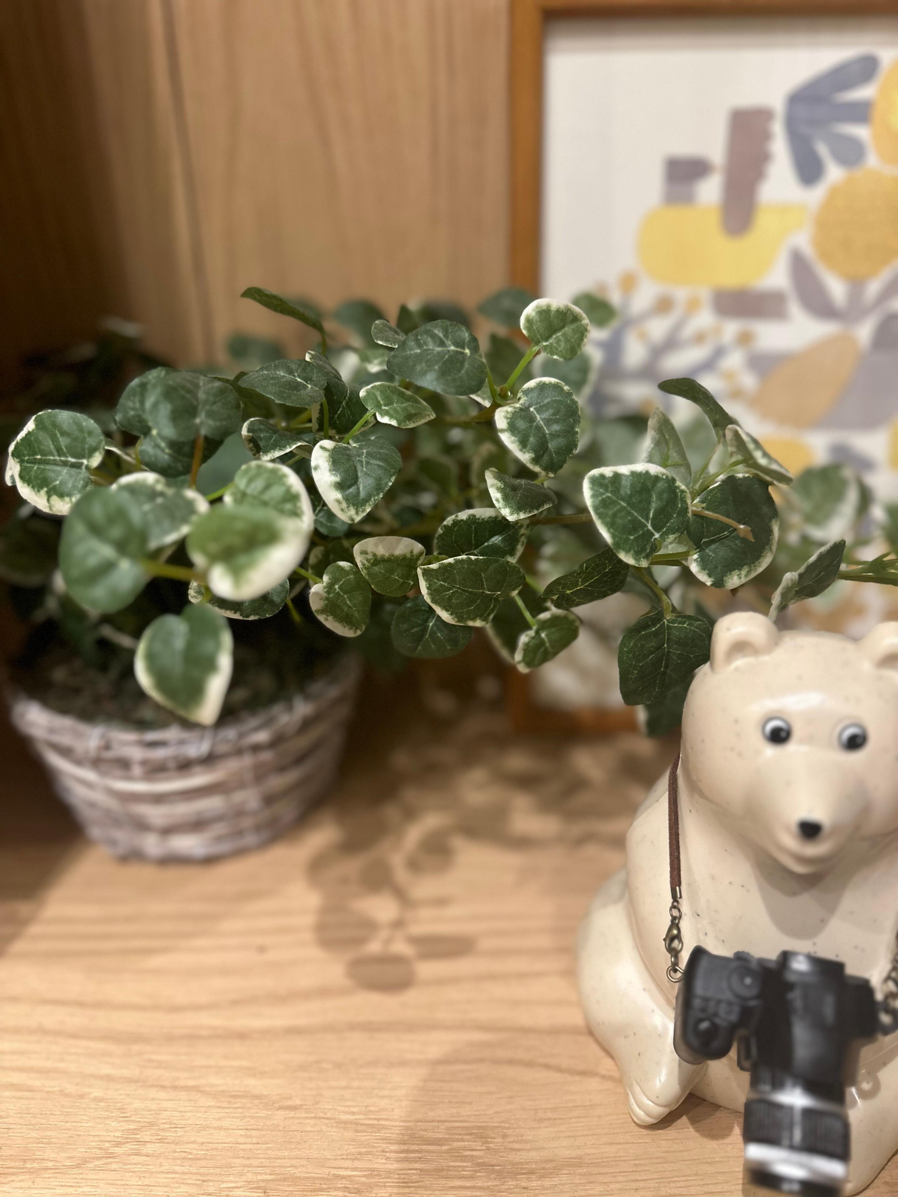 【片付け】断捨離している時あるある5選！