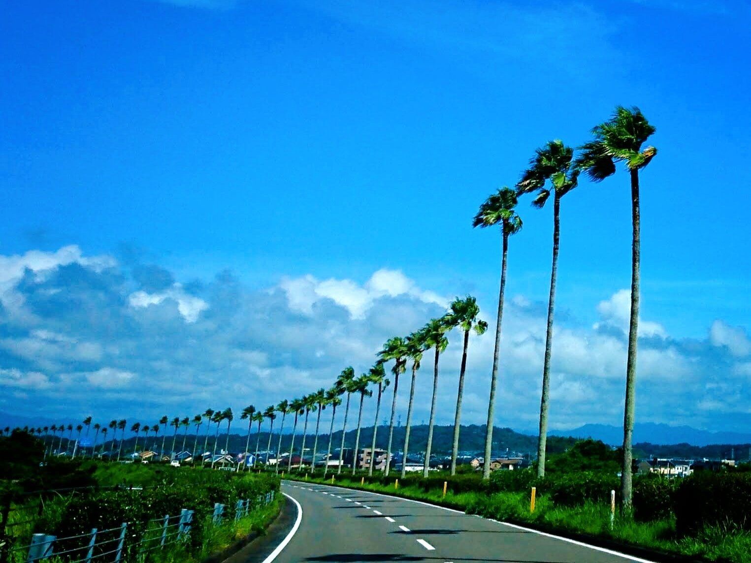 【長期休み】もうイライラしないで！高校生のママが実践してきたお昼ごはん問題の解決法4選