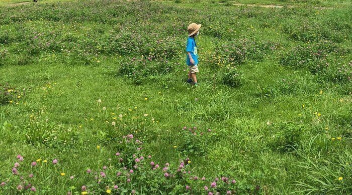春や夏の時期、山や自然が多いところに行く時には忘れないで！