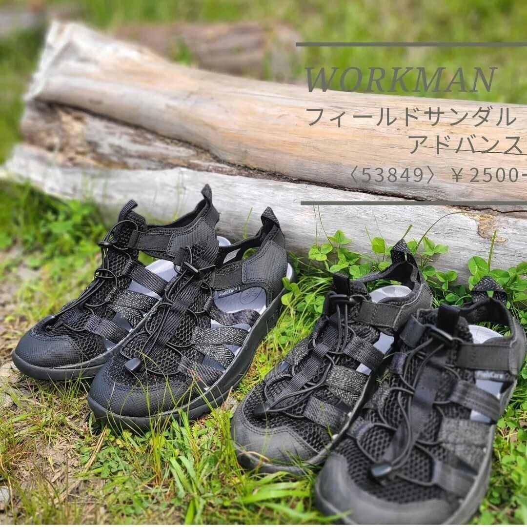 夏のアウトドアに大活躍！【ワークマン】「思わず購入」「万能すぎる」キャンプグッズ6選