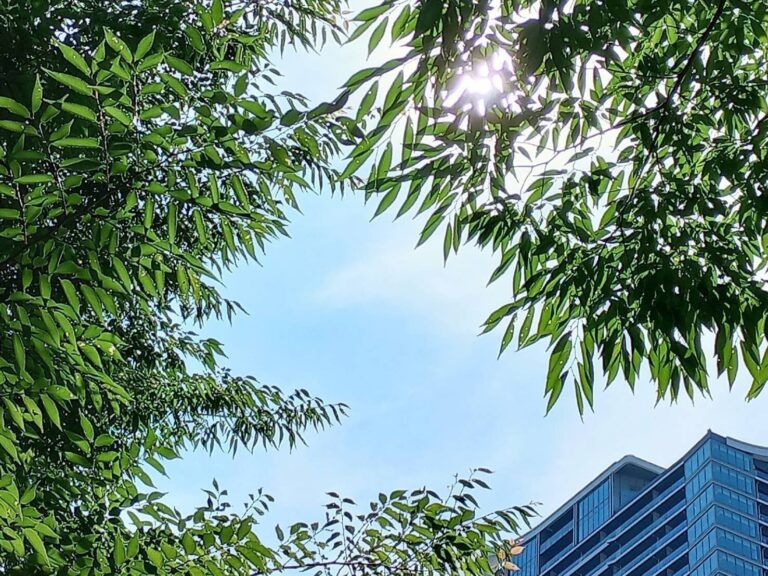 【30℃以下でも注意】熱中症になりやすいのはどんな「暑さ」？気温だけじゃない注目ポイントを気象予報士が解説