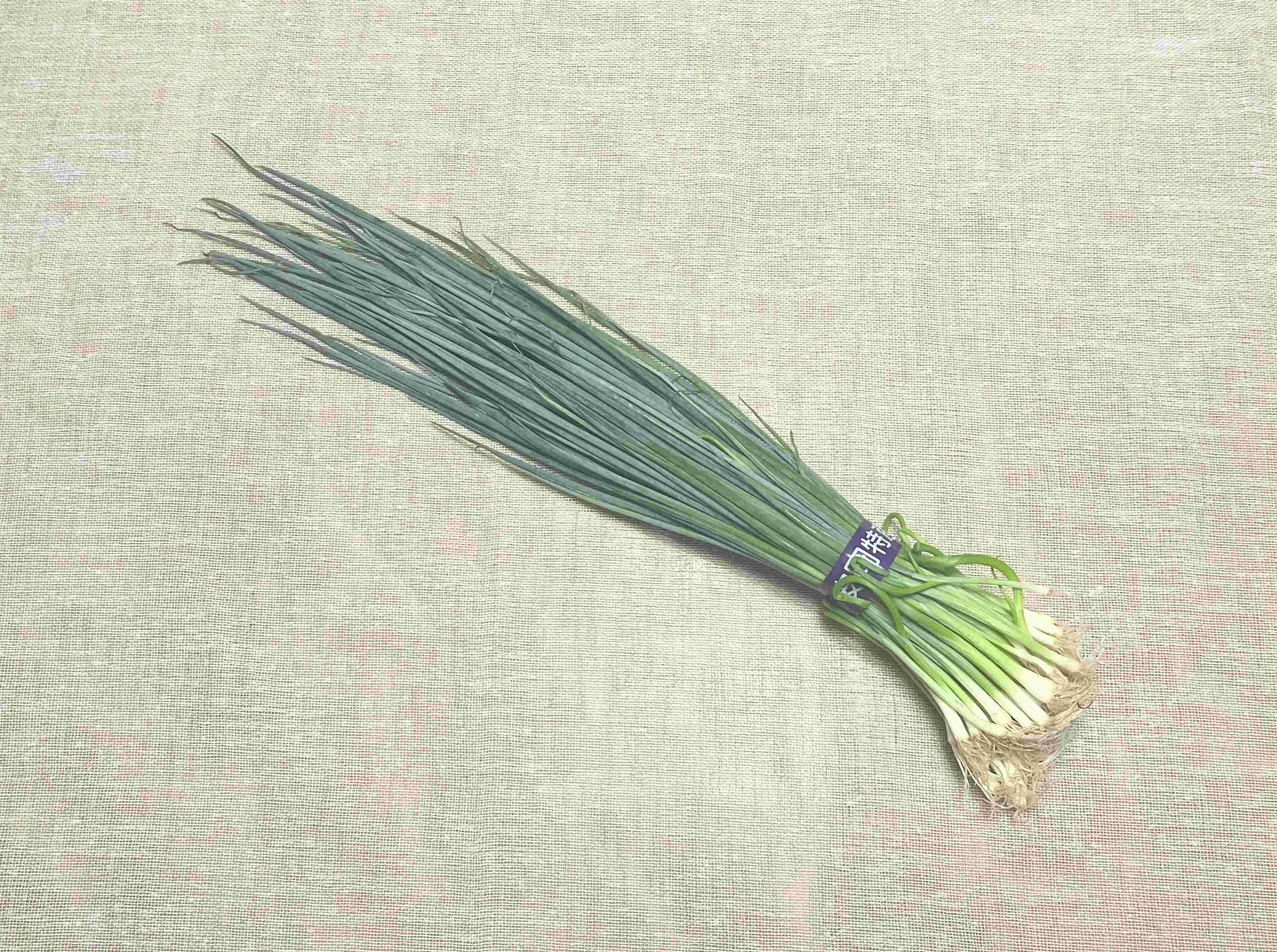 「小ねぎを冷凍するときはペーパーをかぶせてください！」八百屋歴10年、野菜のプロが叫んだ驚きのテクニックを試してみた