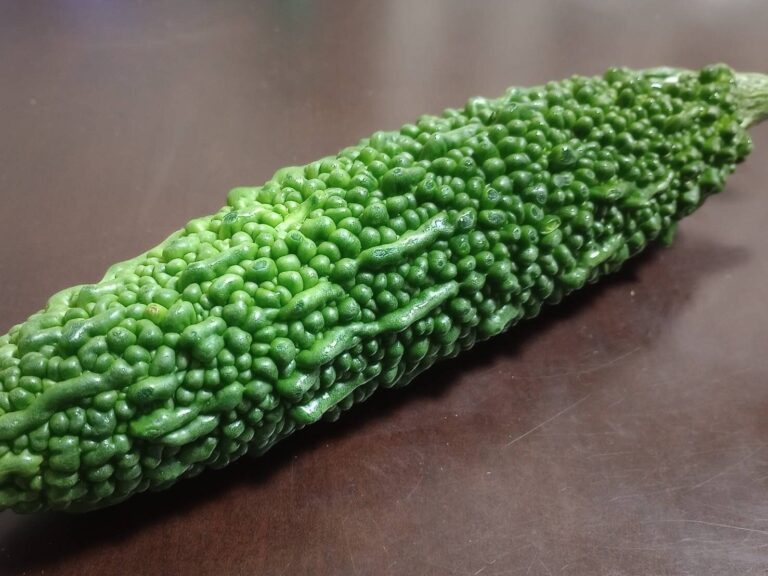 やらなきゃもったいない！下ごしらえ不要なゴーヤの絶品おかずを野菜ソムリエが紹介