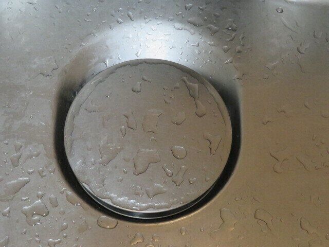 恐怖！キッチンで遭遇のゴキブリを殺虫剤なしで倒すには