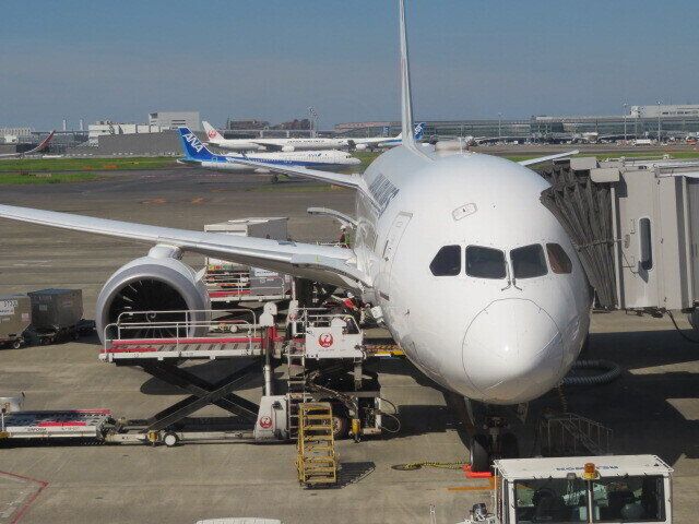 会いたい人に会いに行く夏！飛行機に乗って向かった先は