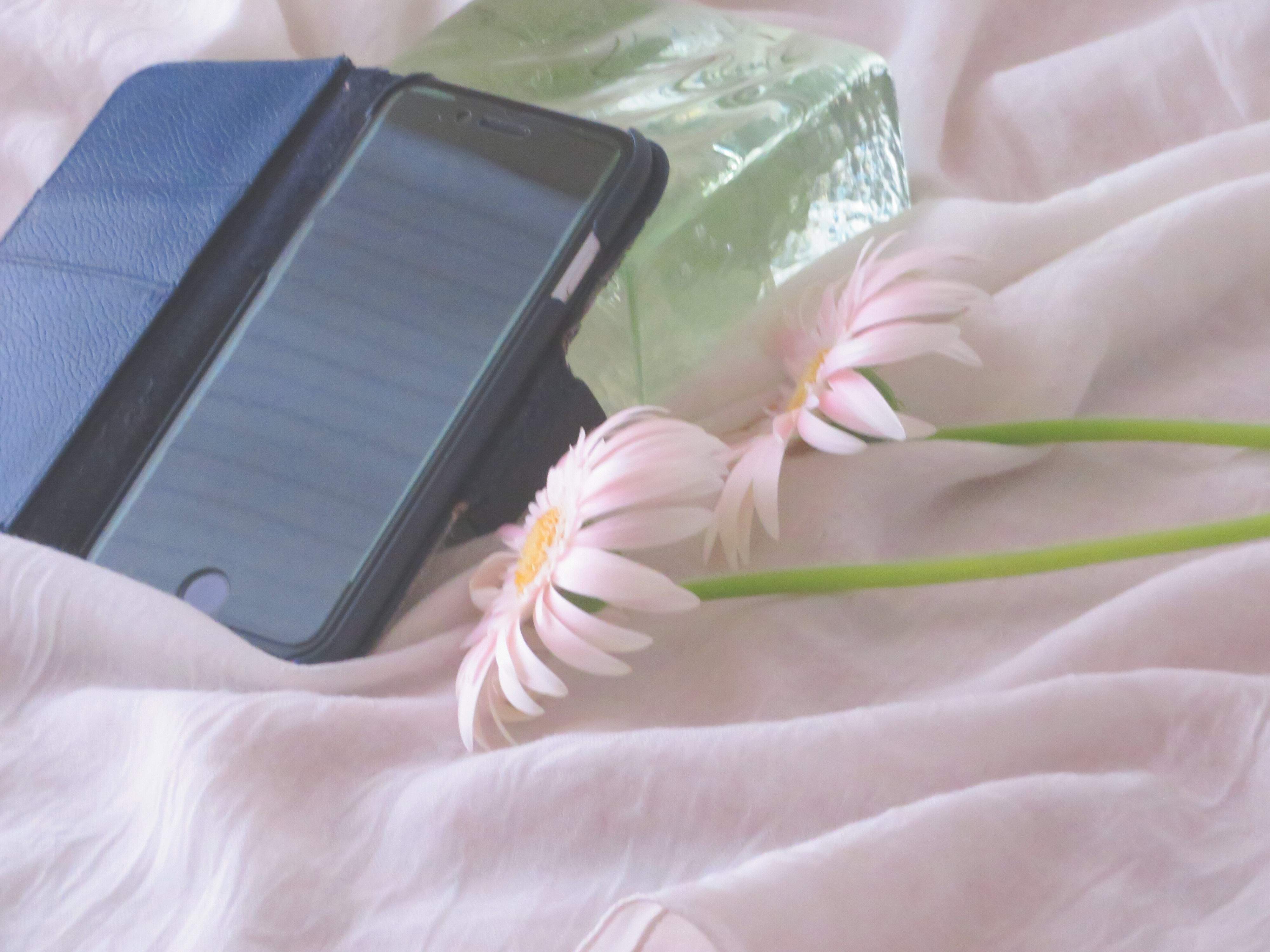 見切り発車は危険？アナログ主婦がスレッズ(Threads)を勢いで開いた末路