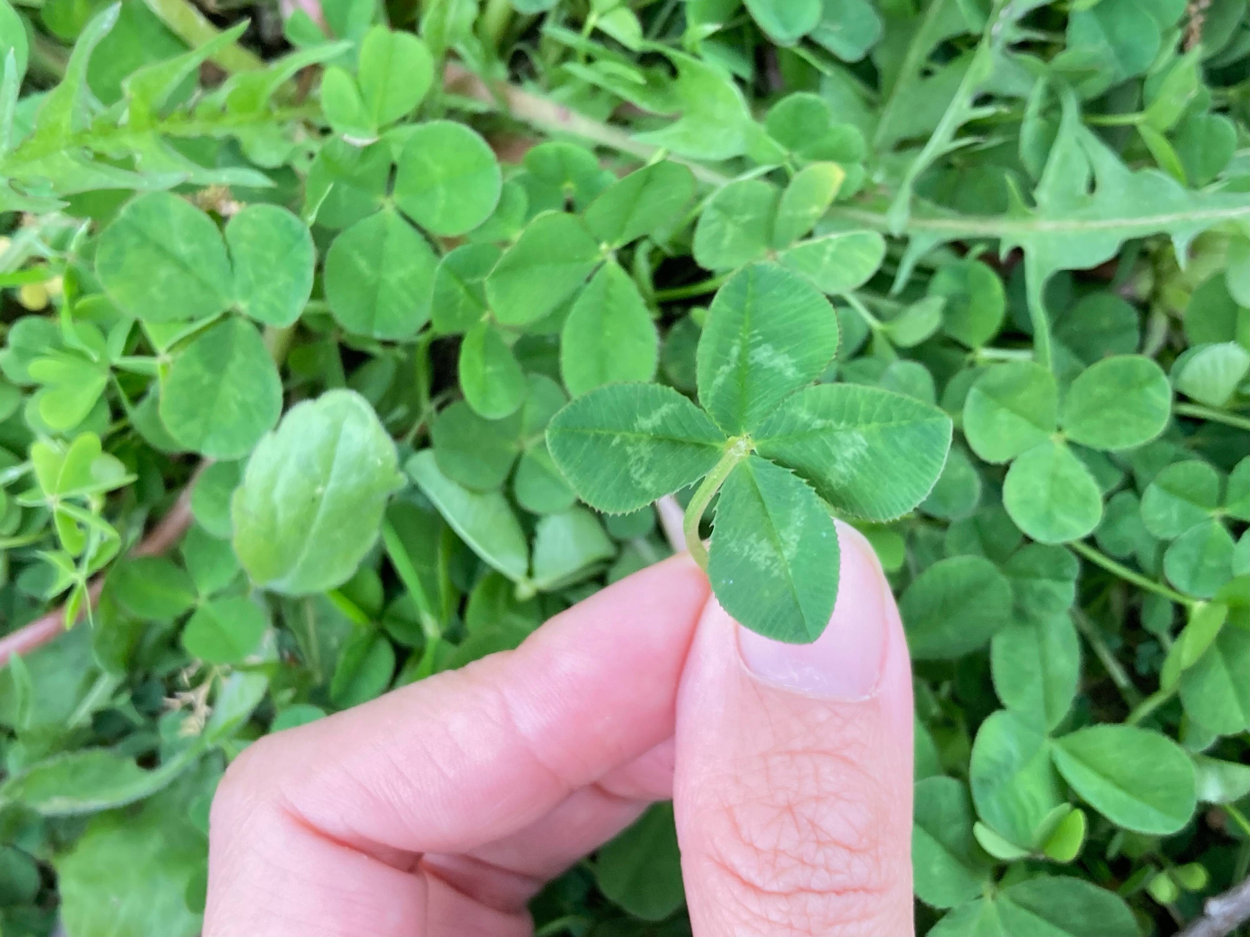 ついていない時こそ試してほしい！幸せフィルターの入れ方