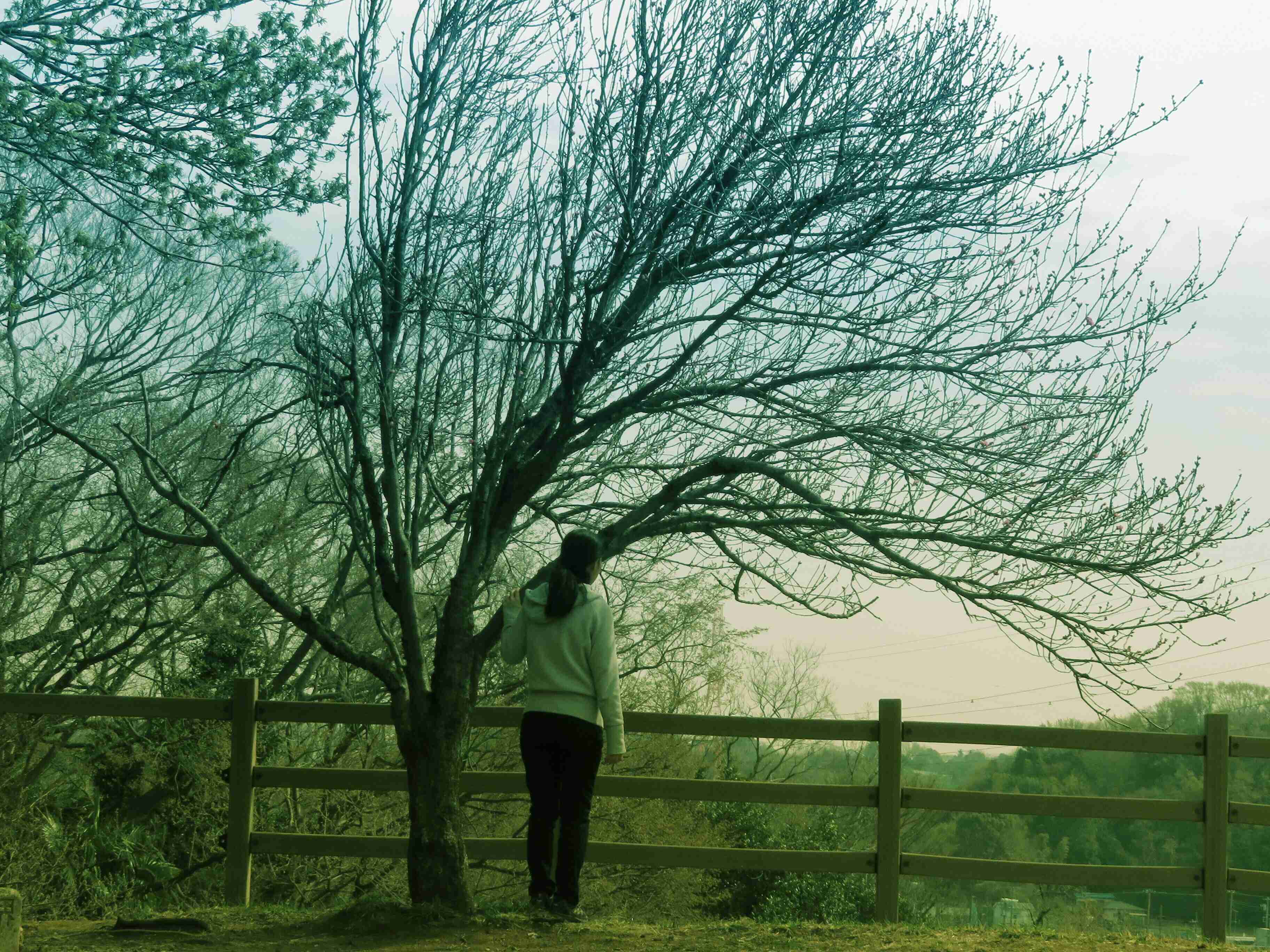 自信はどこからやってくるの？他者の評価とは違う根源