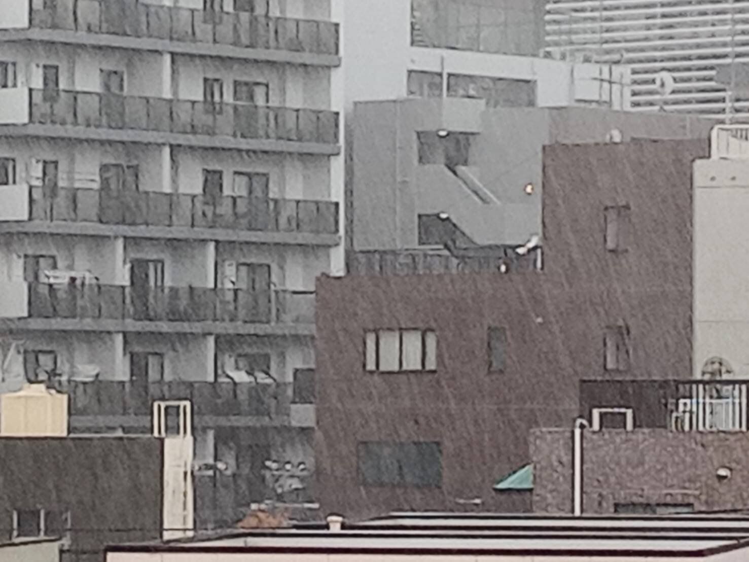 夏の台風はなぜ迷走するの？気象予報士が備えるポイントとともに解説！