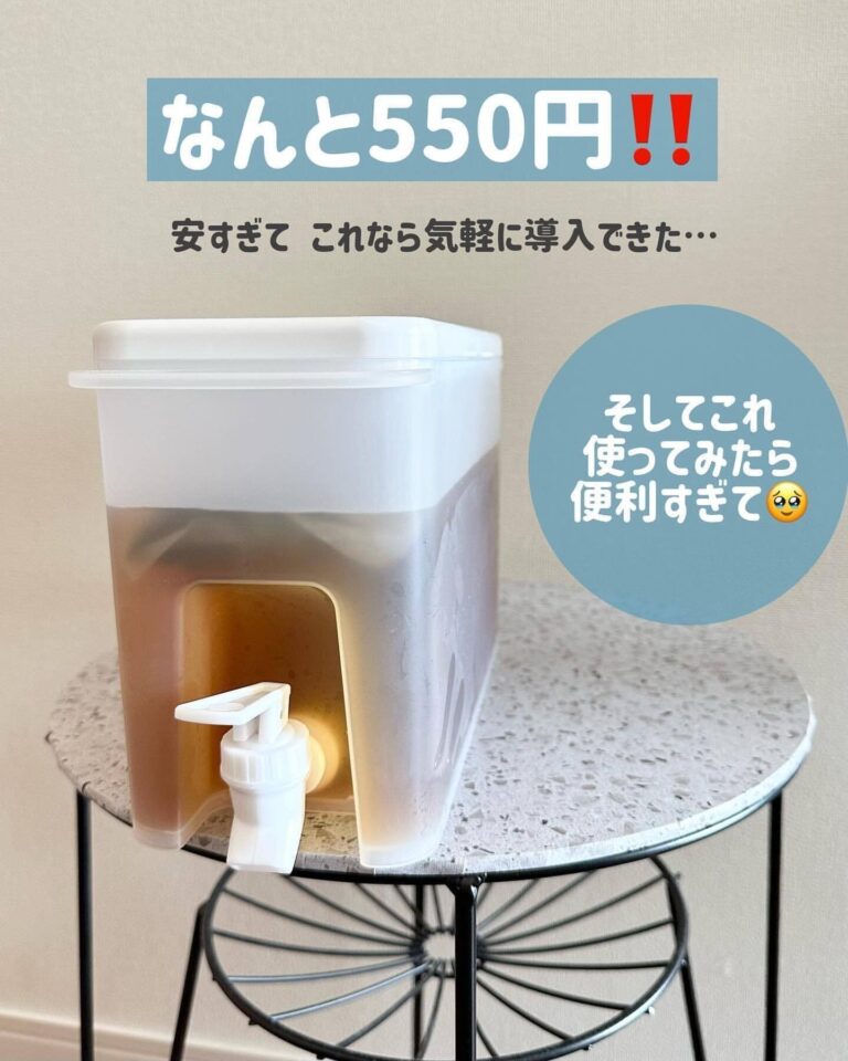 レジに大行列!?【ダイソー】「なんと550円」「高見え新作」今すぐ欲しい6選