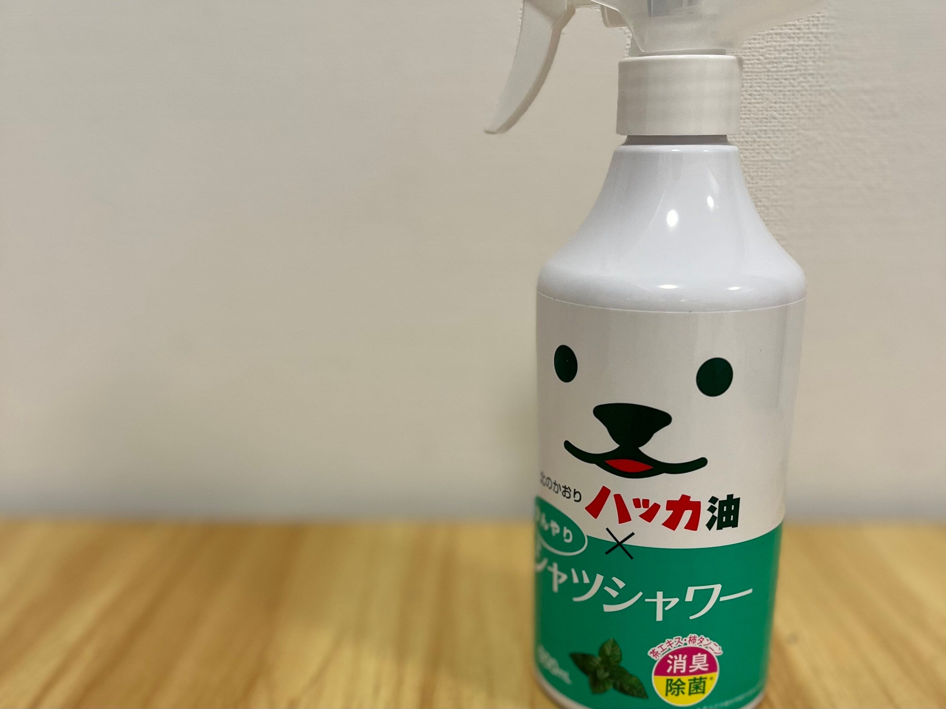 【暑さ対策】服にシュシュっと！ひんやりシャツシャワーを正直レビュー