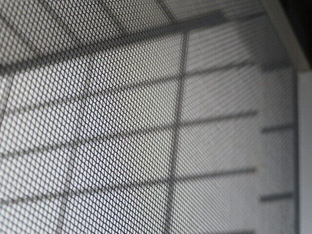 コバエは網戸もフリーパス！家に呼ばないシンプルな対策