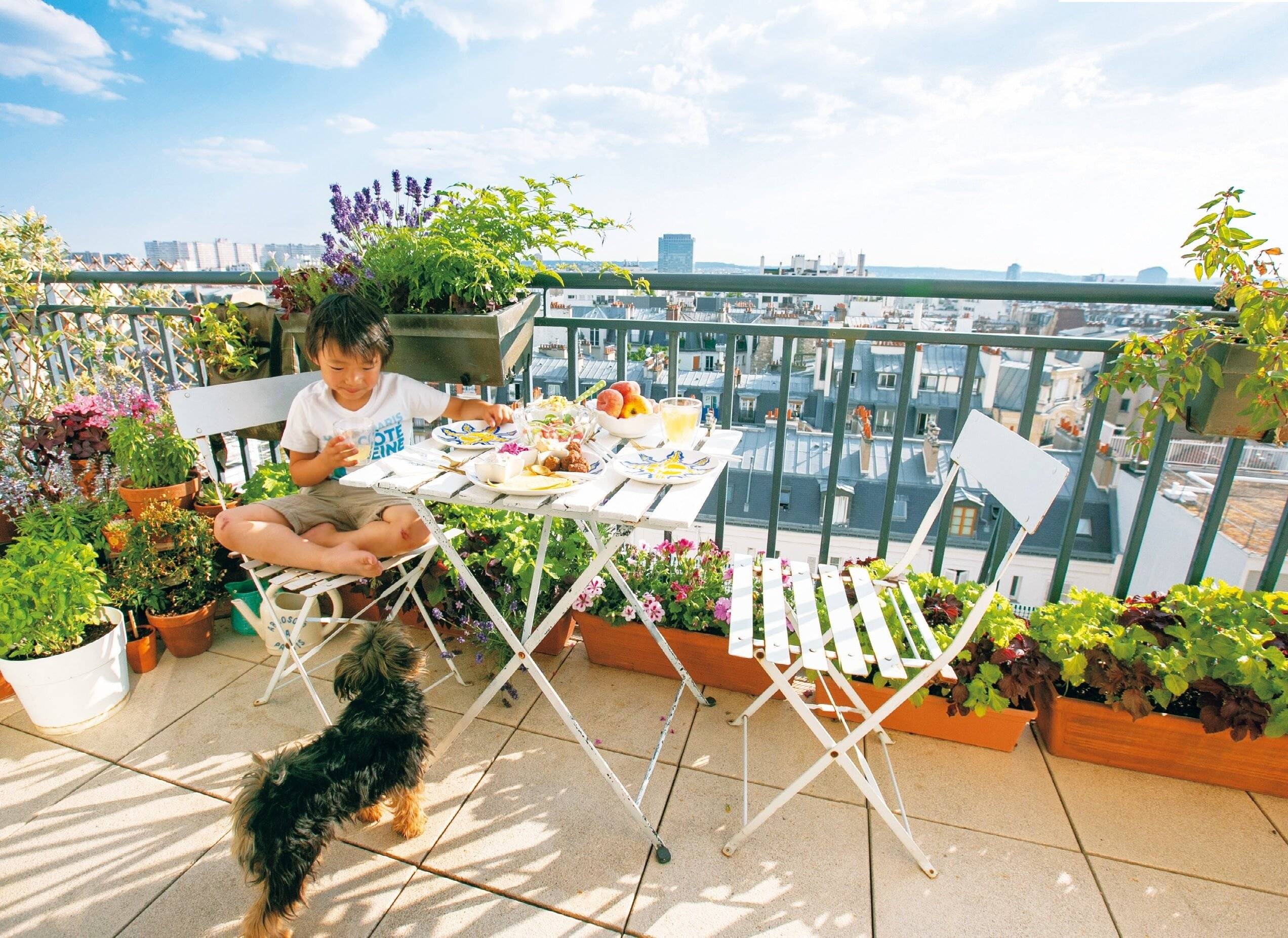 〈パリのおうち拝見〉「ベランダで朝ごはん」「日中はベッドをソファに」1LDKで心地よく暮らす