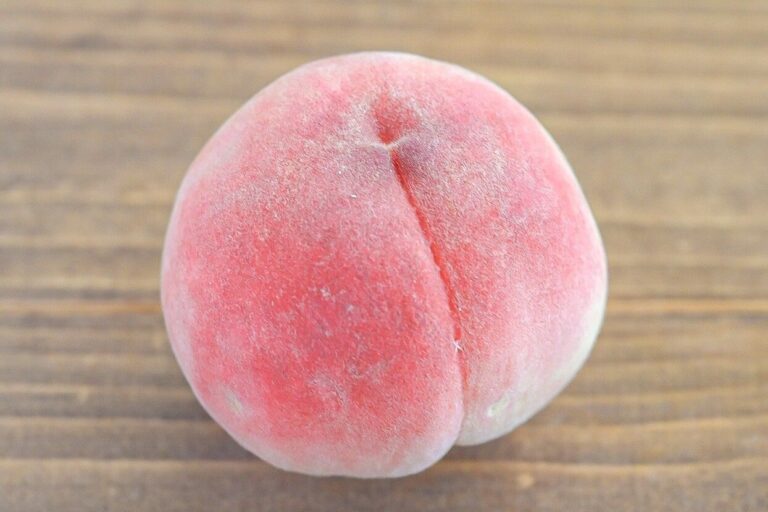 【旬食材】実はとっても簡単♪桃を料理に取り入れよう！おうちごはんグレードアップ♪簡単レシピ3選