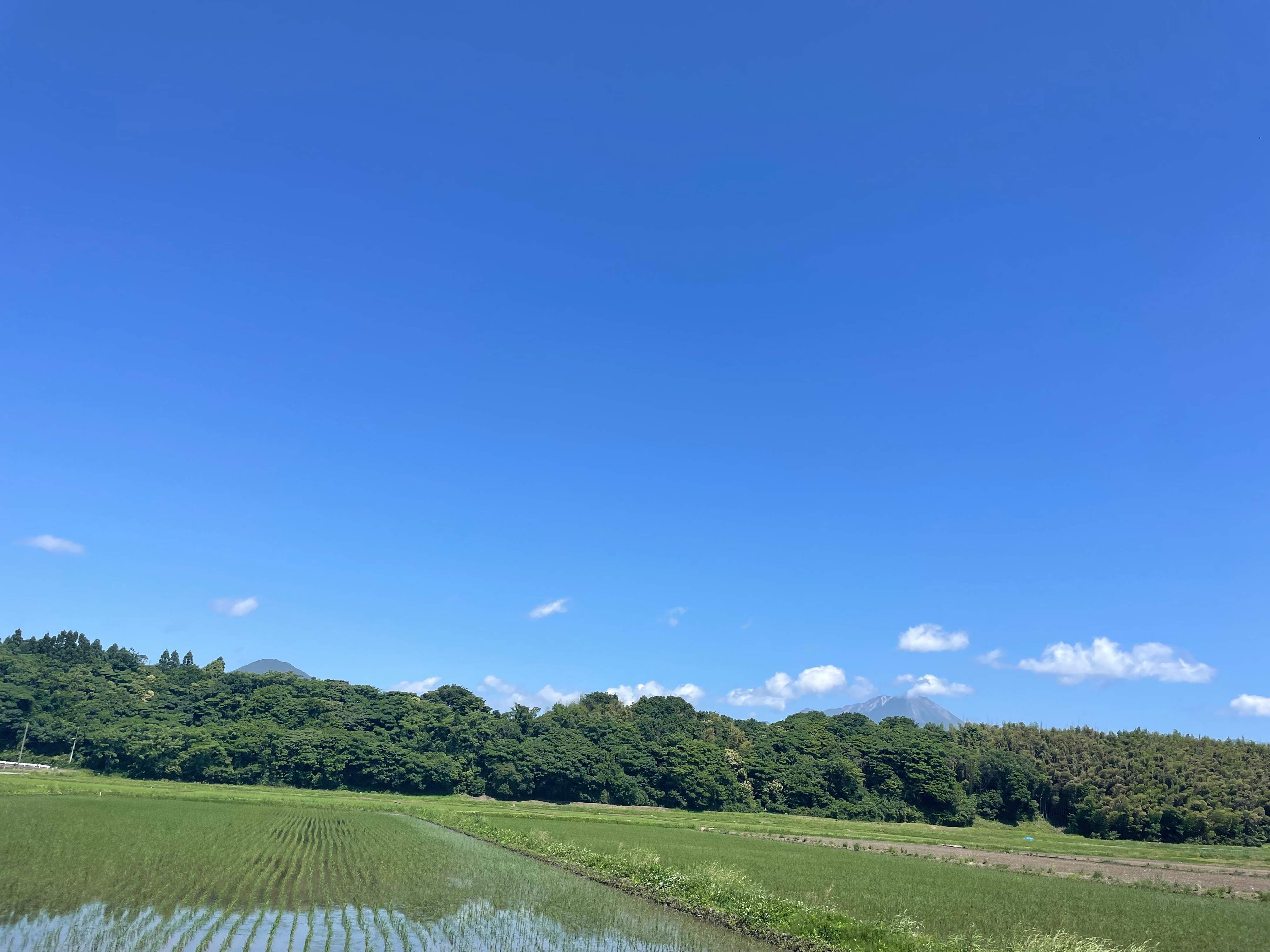 【都会→田舎】田舎移住したシンプリストが実感！住みやすい田舎の特徴3選