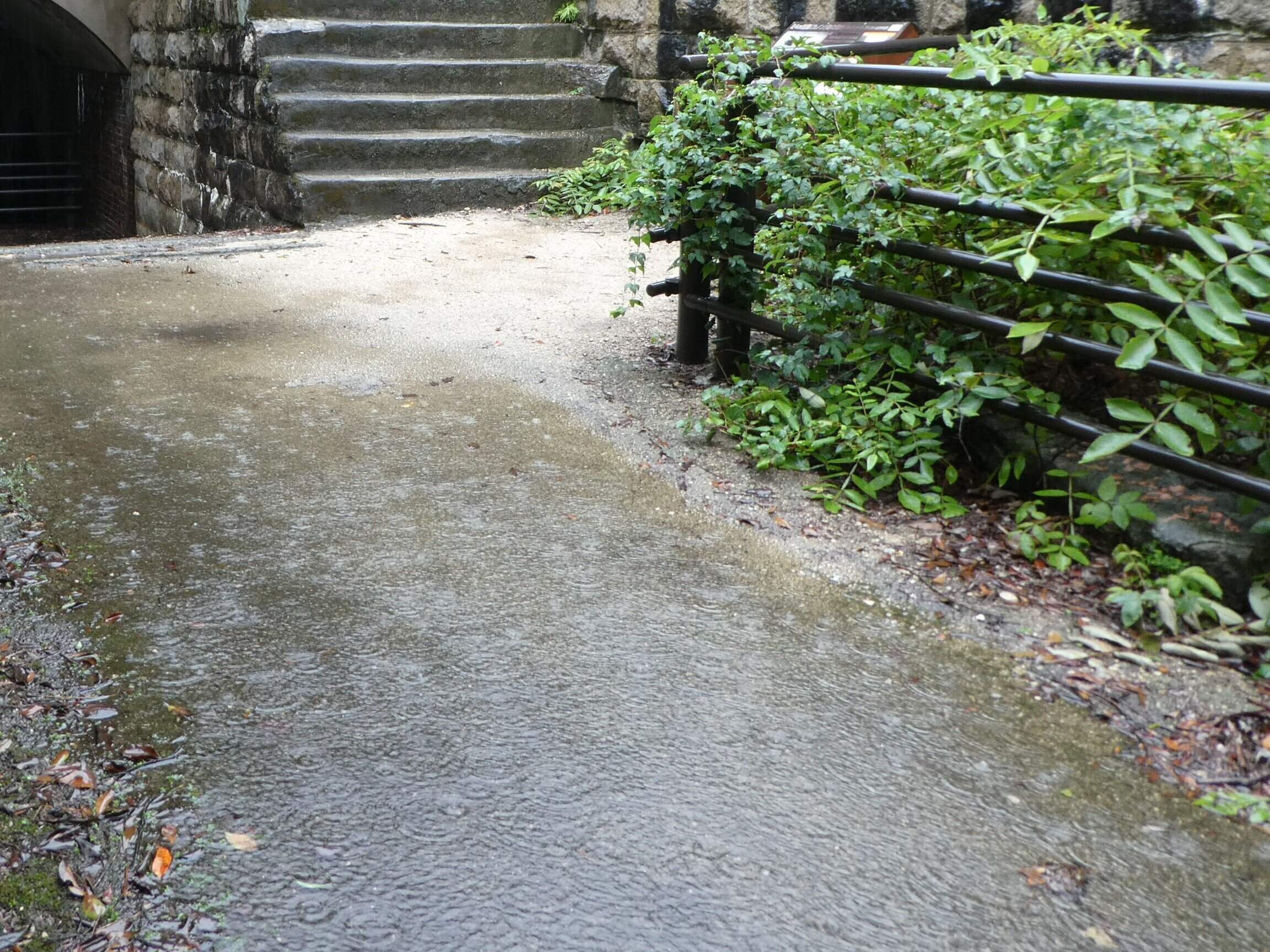 【予報士解説】市街地の集中豪雨に備えよう！「一番低い場所」を知っていますか？