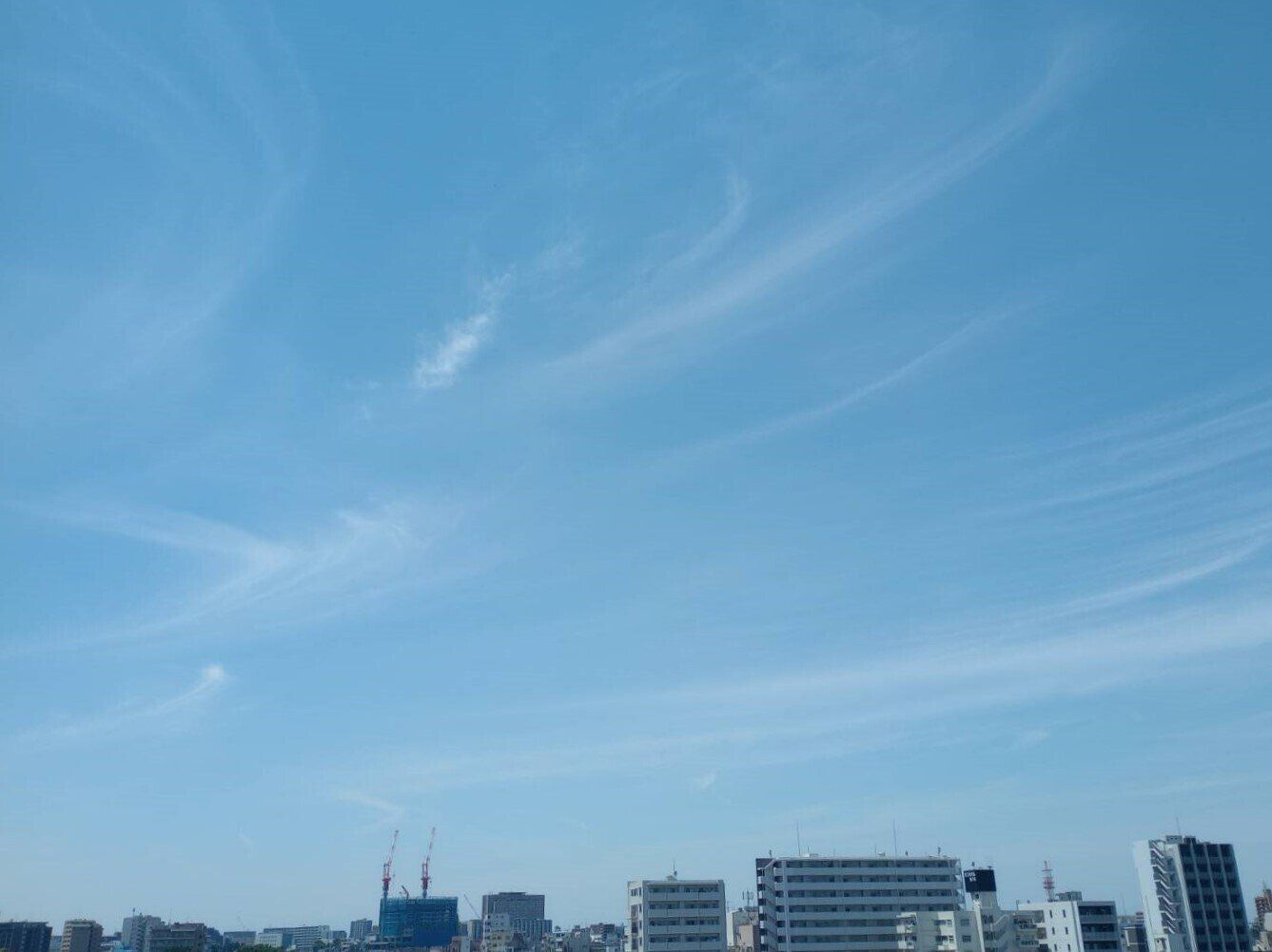 秋の空はなぜ高い？意外と知らない「天高く馬肥ゆる秋」のワケを気象予報士が解説！