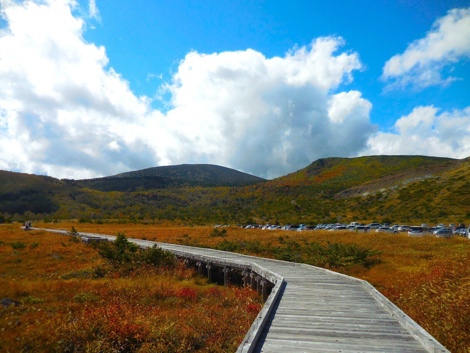 紅葉ほど混雑しない！一足先に楽しめる「草紅葉」の魅力を気象予報士が解説