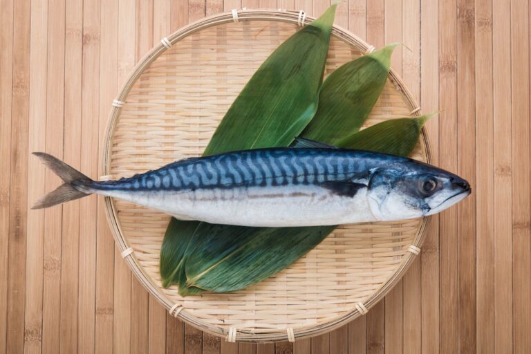 鯖の栄養で健康に～子供から大人までみんなに嬉しい効果を解説～