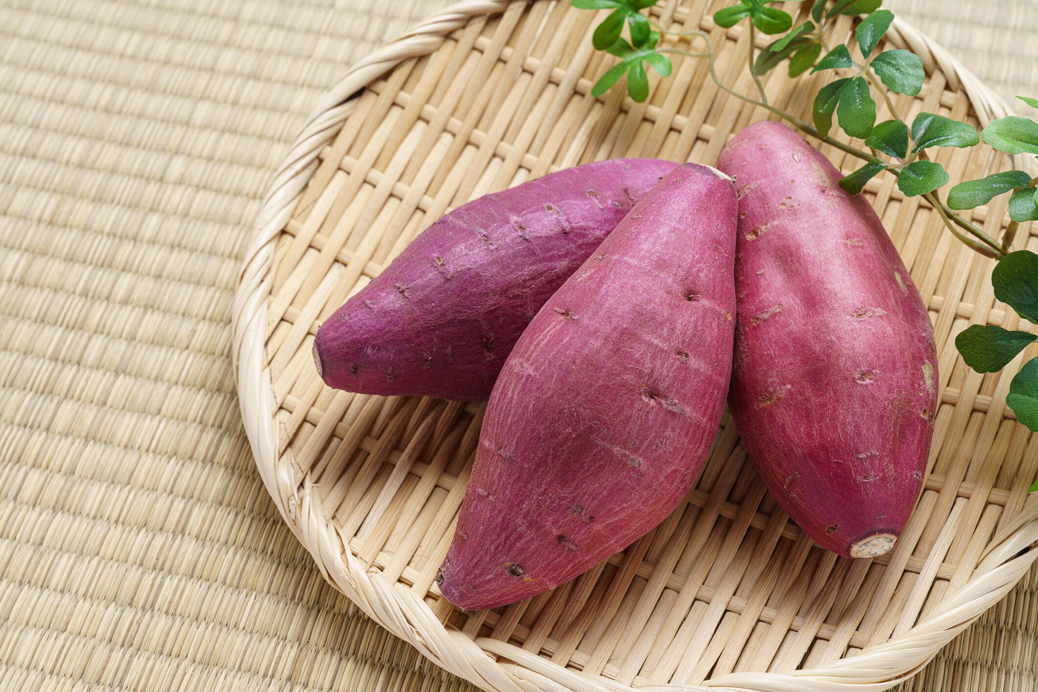 【旬食材】おいしい「さつまいも」を食べたいときに見るべき場所って？野菜ソムリエおすすめの選び方を紹介