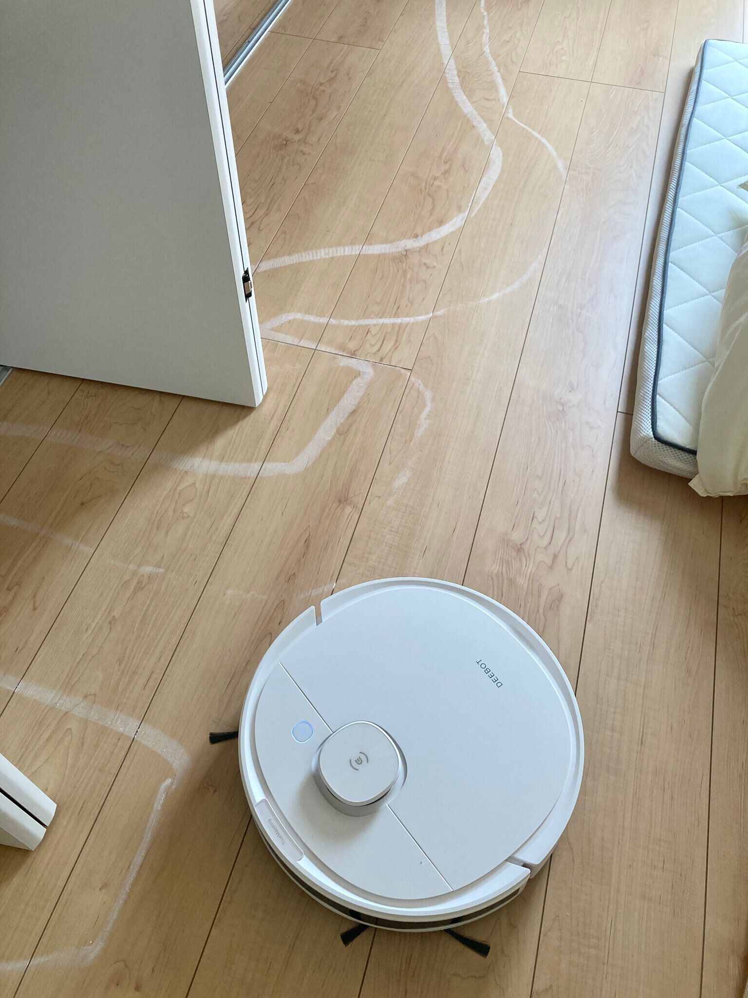 お掃除ロボット“タマちゃん”がクレヨンと一緒にお散歩?!予想外の光景にビックリ