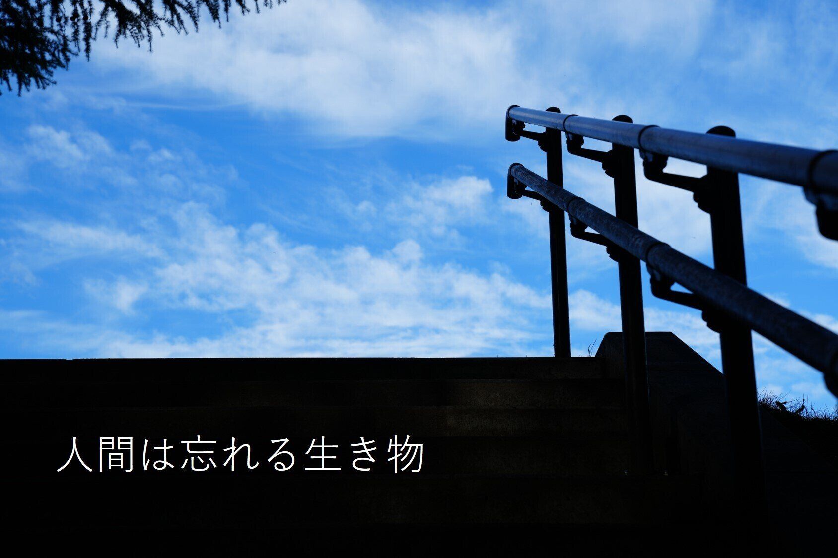 人間は忘れる生き物～ストックを忘れないコツ～