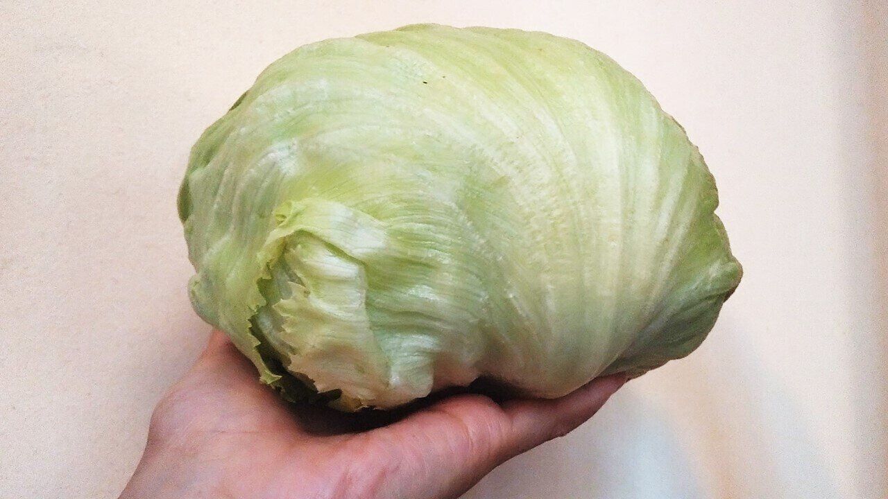 「レタス」をたくさん消費するなら、サラダよりもスープに！栄養たっぷりな外側の葉も一緒においしく変身！