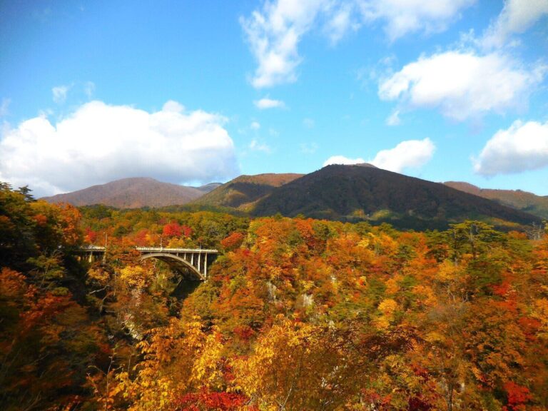 山が “おめかし”する秋！市街地へ紅葉が降りてくるのはいつ？事前に知る方法を気象予報士が解説