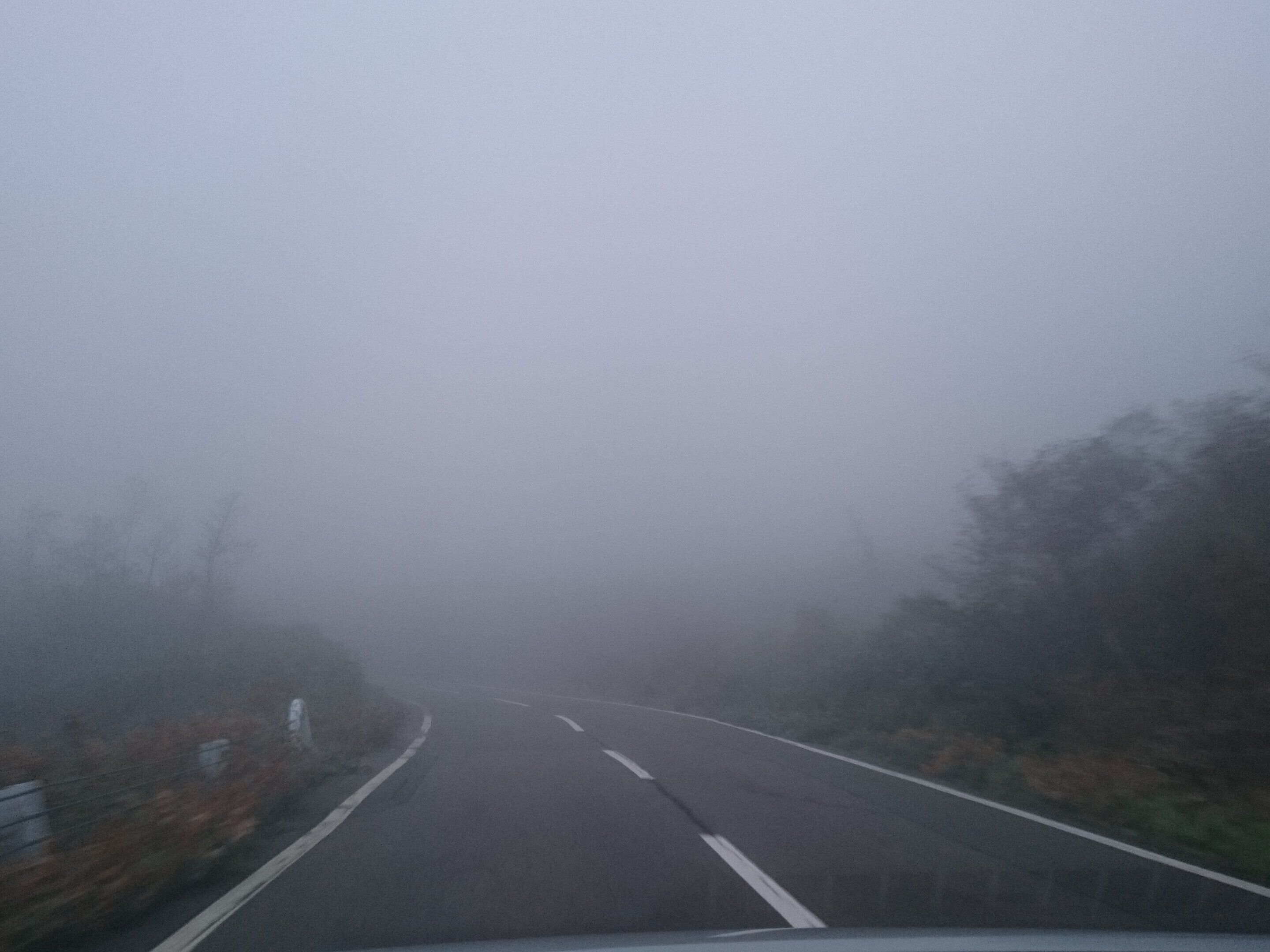 霧と雲は何が違うの？霧が出る日は何に注意すればいい？？気象予報士が解説