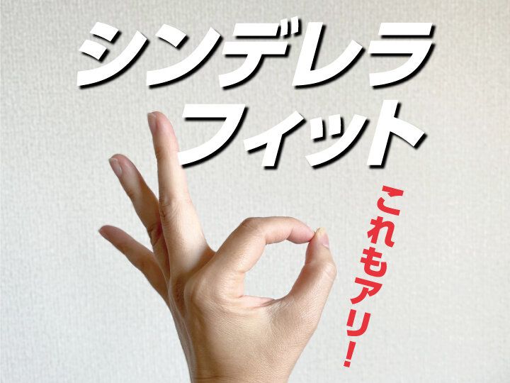 これもアリ！ぐうたら整理収納アドバイザーのシンデレラフィット収納術