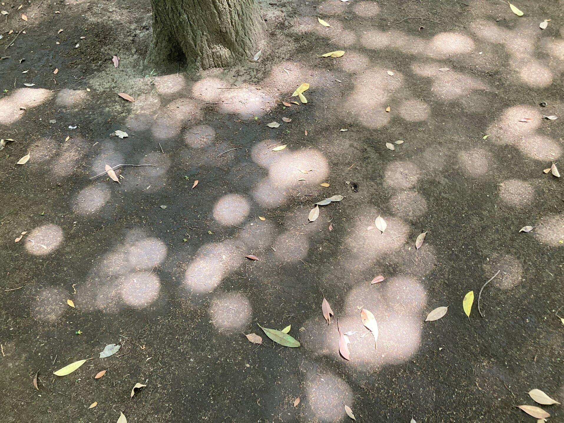 コスパ・タイパ・スペパ……効率重視に飽きたらしたいこと