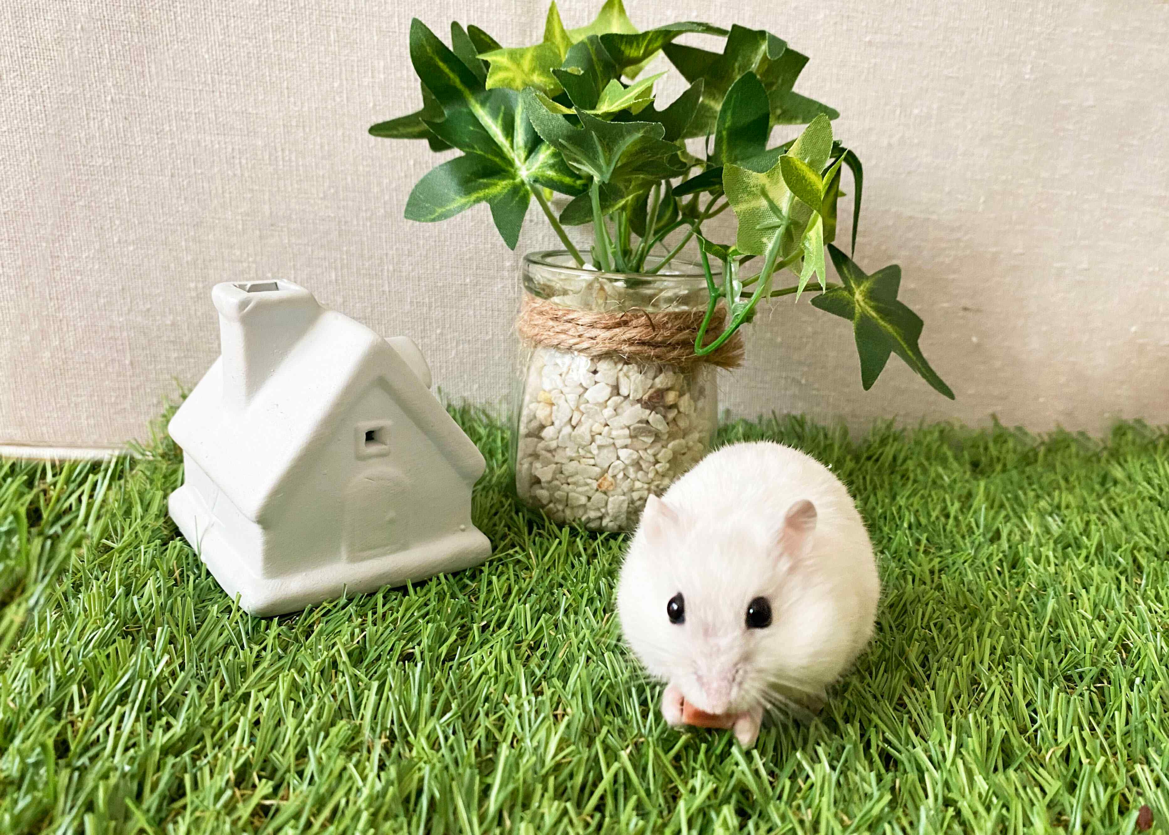 【自己紹介】元・絵本編集者。週７日ワンオペ・ワーママのサンキュ！STYLEライター・こうむらゆうこです