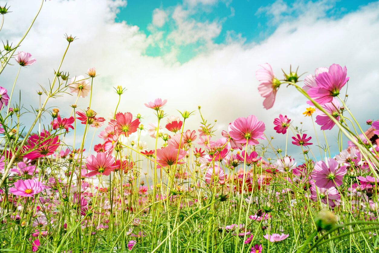 【23年10月度】のMVPを発表します！