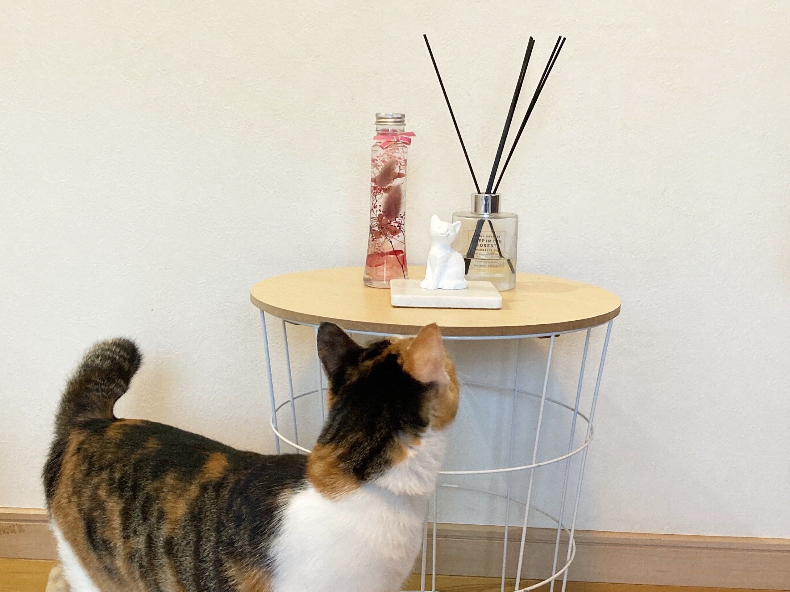 【THREEPPY】驚きの550円！即買いした高見えサイドテーブル