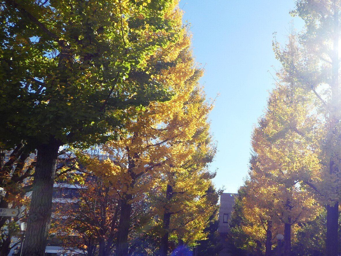 むくみの原因が重なる秋！早めの対処で快適にすごすヒントを食育インストラクターが解説