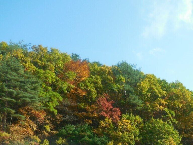 「小春日和」はじつは要注意な天気!?なぜ春には小春って言わないの？気象予報士が解説