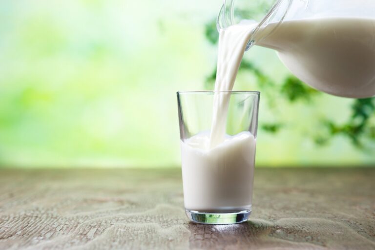 牛乳を飲むと太る？じつは意外と高カロリーな牛乳との上手な付き合い方