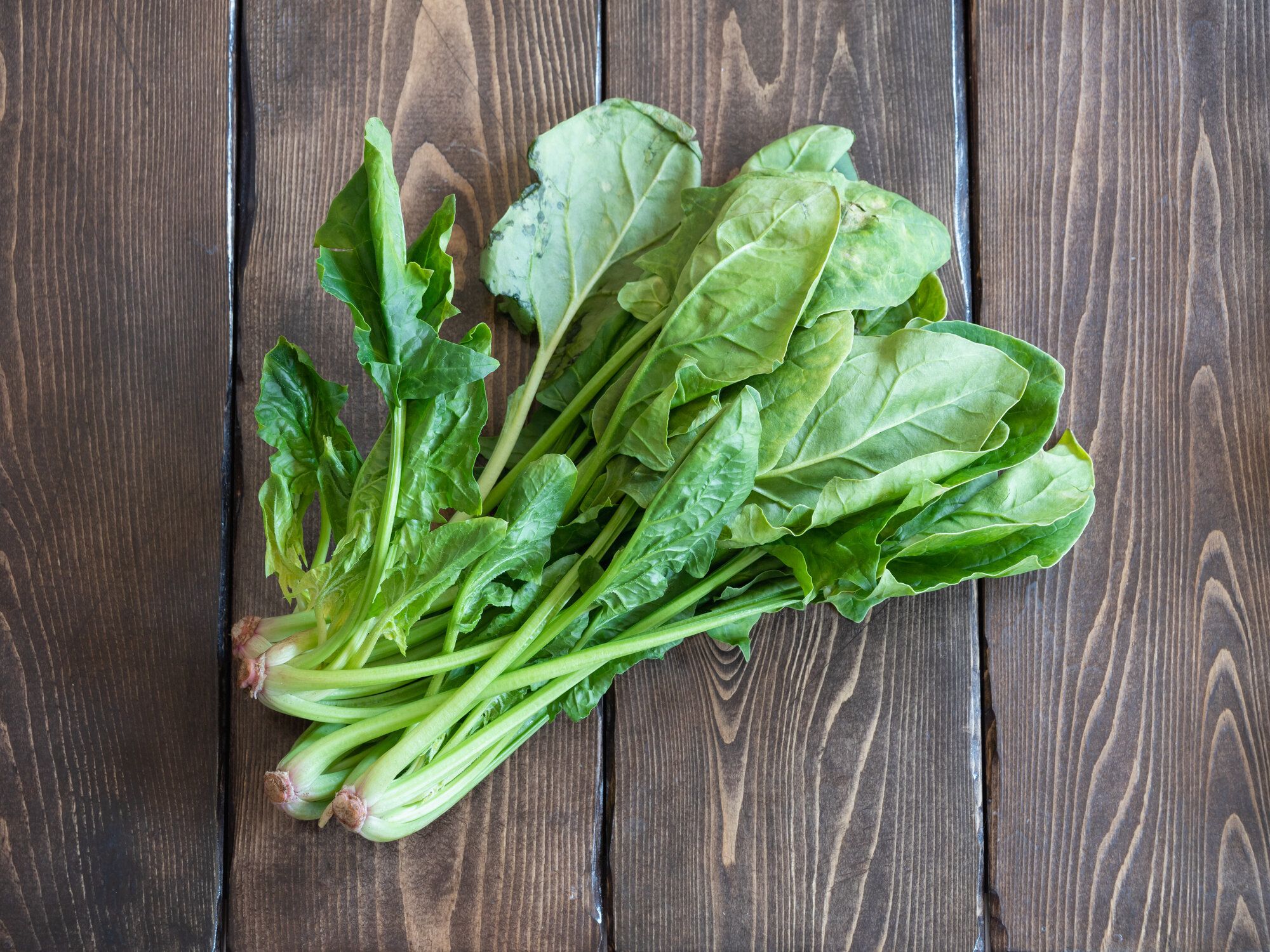 【旬食材】甘いほうれん草を選ぶにはどこを見るべき？失敗しないコツを野菜ソムリエが解説