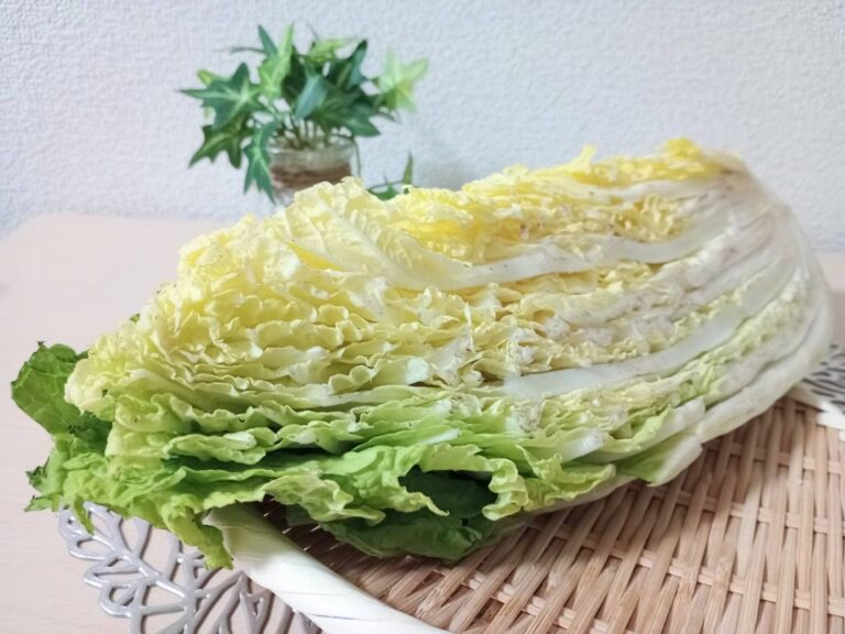 やらなきゃもったいない！白菜×酸味×旨味ですぐ完成する「秋冬副菜」を野菜ソムリエが解説