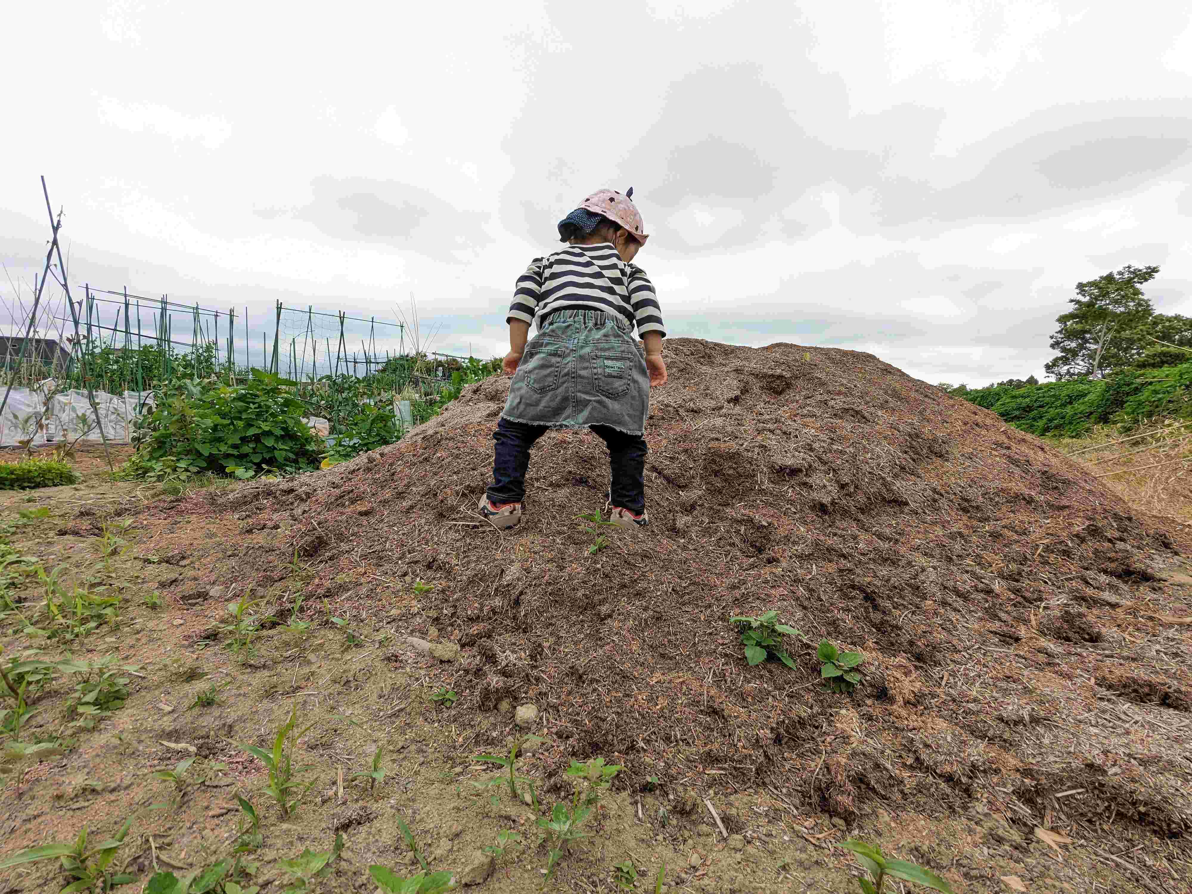 【自己紹介】食品ロスコンサルタントの佐々木麻衣です