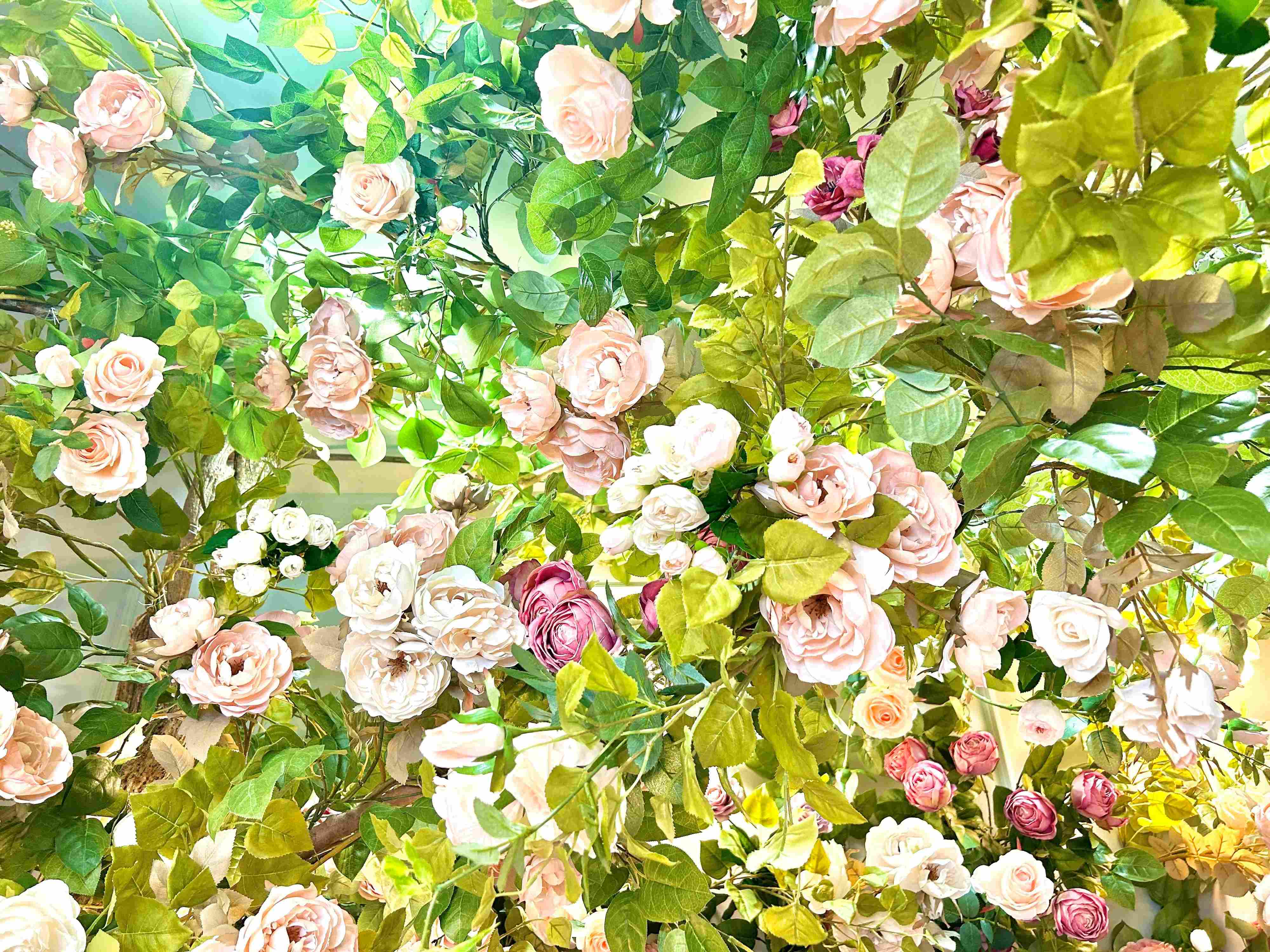 【自己紹介】カワイイモノものと美容の愛好家・お散歩にすとの香月璃莉です