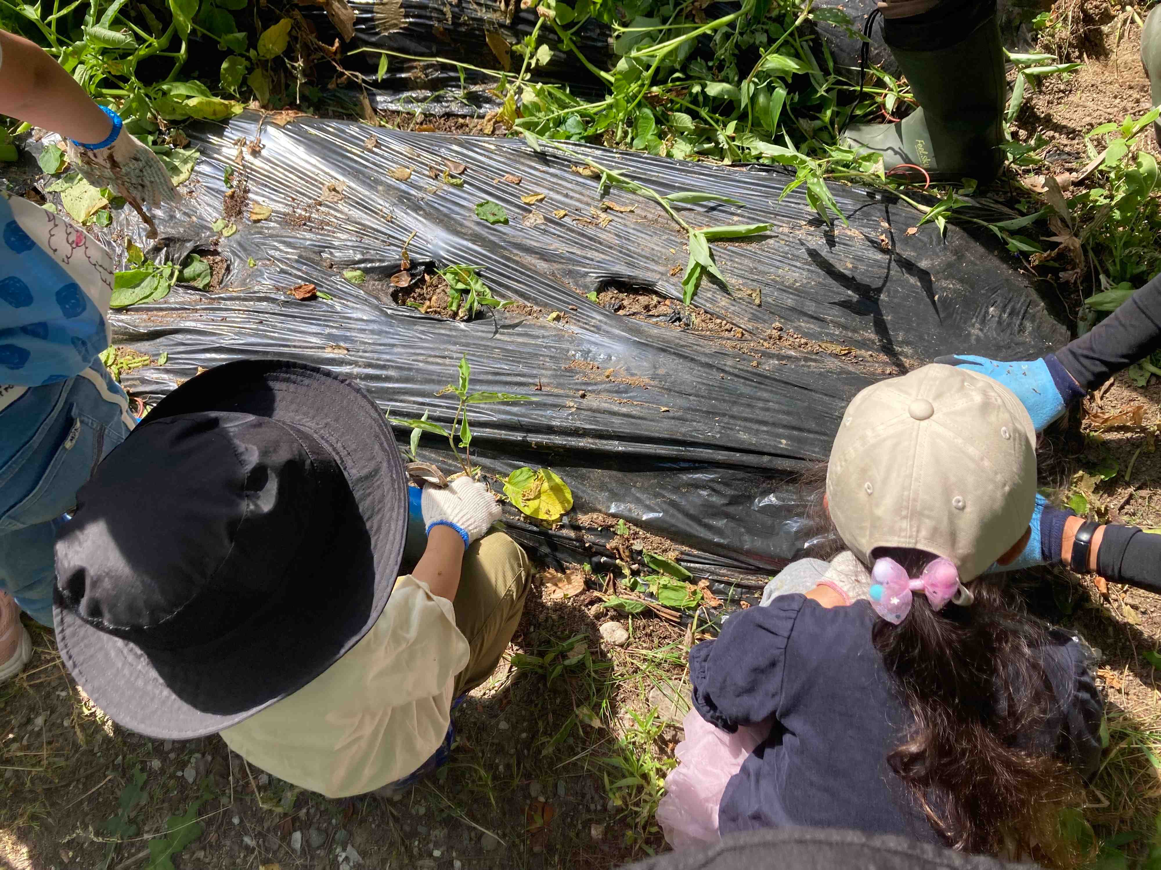 ストレスなくゆるっと貯めている人の「子どもへのお金の使い方」3つ